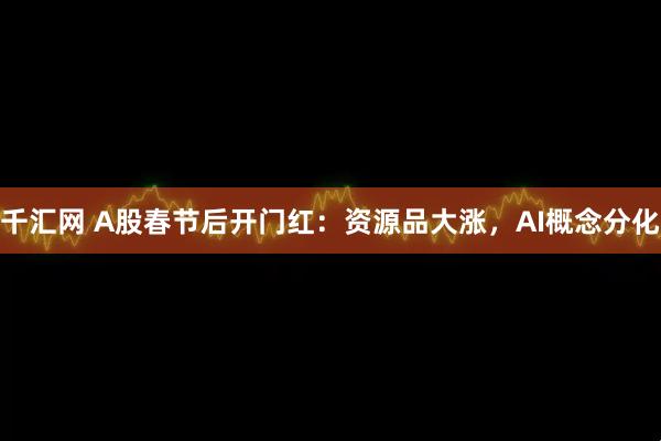 千汇网 A股春节后开门红：资源品大涨，AI概念分化