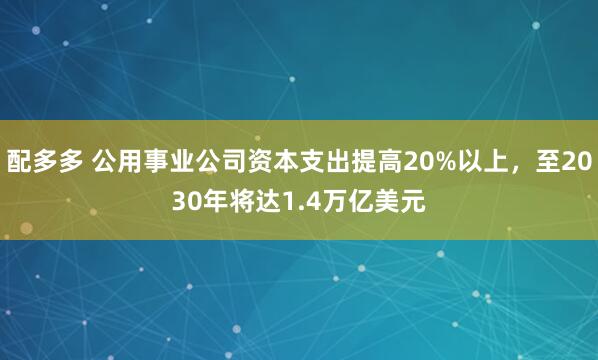 配多多 公用事业公司资本支出提高20%以上，至2030年将达1.4万亿美元