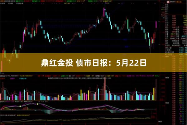鼎红金投 债市日报：5月22日