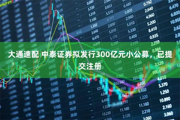 大通速配 中泰证券拟发行300亿元小公募，已提交注册