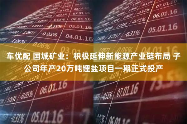 车优配 国城矿业：积极延伸新能源产业链布局 子公司年产20万吨锂盐项目一期正式投产