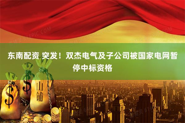 东南配资 突发!双杰电气及子公司被国家电网暂停中标资格