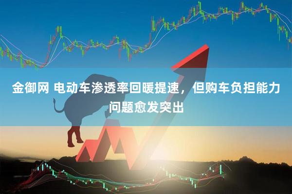 金御网 电动车渗透率回暖提速，但购车负担能力问题愈发突出