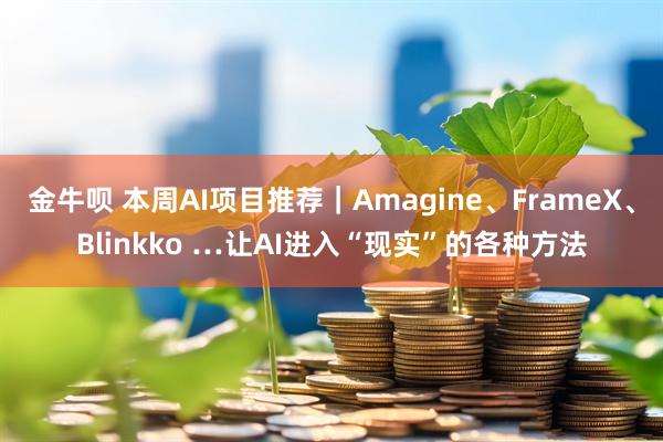 金牛呗 本周AI项目推荐｜Amagine、FrameX、Blinkko …让AI进入“现实”的各种方法