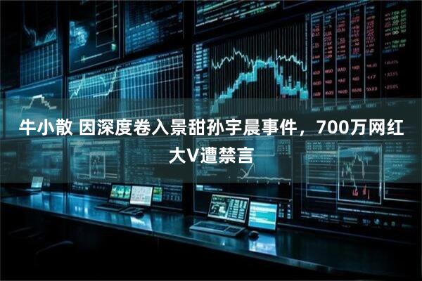 牛小散 因深度卷入景甜孙宇晨事件,700万网红大V遭禁言